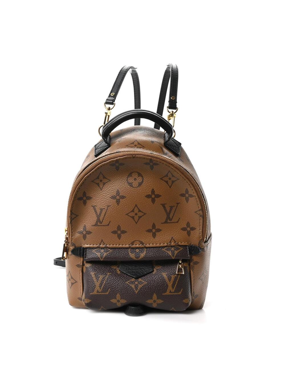 Louis Vuitton Reverse Palm Springs #298678L15B
